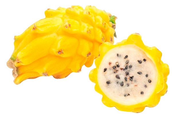 PITAHAYA