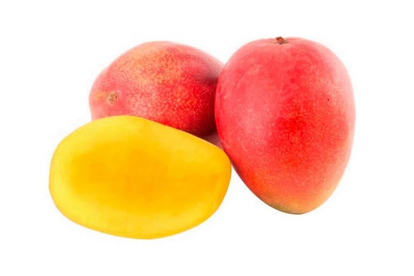 MANGO TOMY