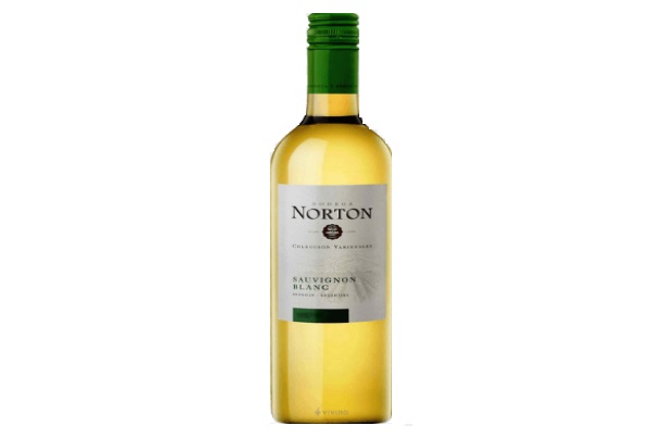 VINO NORTON SAUVIGNON BLANC 750 