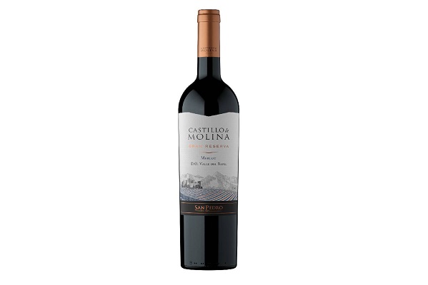 VINO CASTILLO MOLINA MERLOT 750