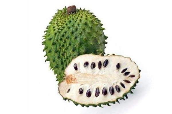 GUANABANA